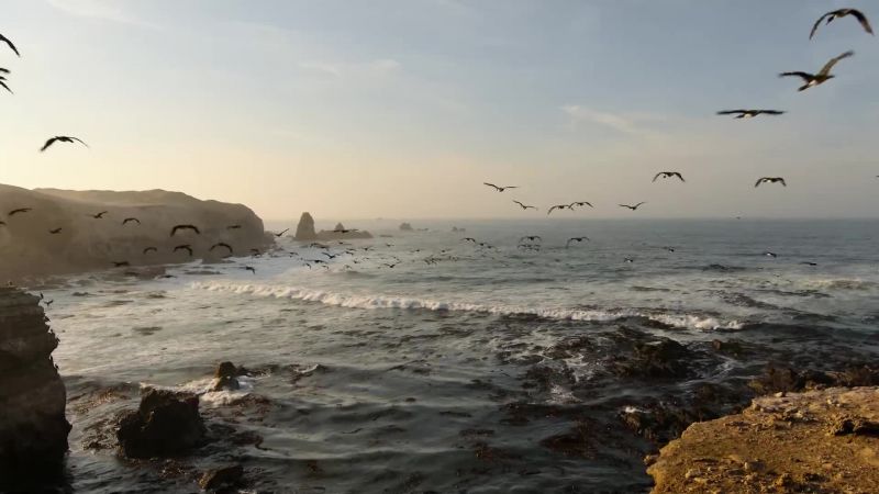 It is an astonishing daily migration