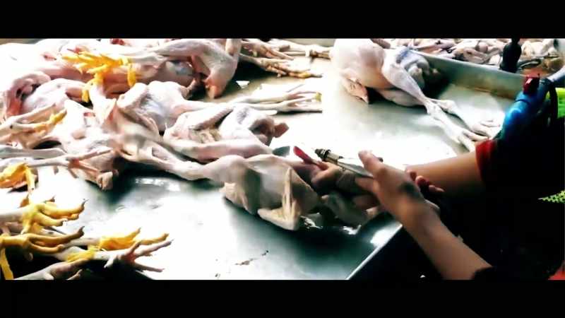 It can be labeled all-natural chicken