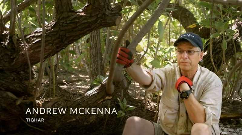It confirmed, certainly for me, that this in fact is the tree where that castaway died