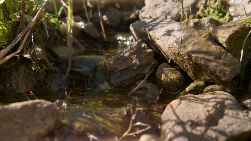 It could be ground seepage, but we can test the water