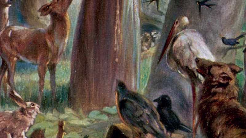 It didn't matter that St. Francis was obviously white