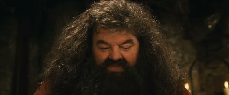 It does not do to dwell on dreams, Harry