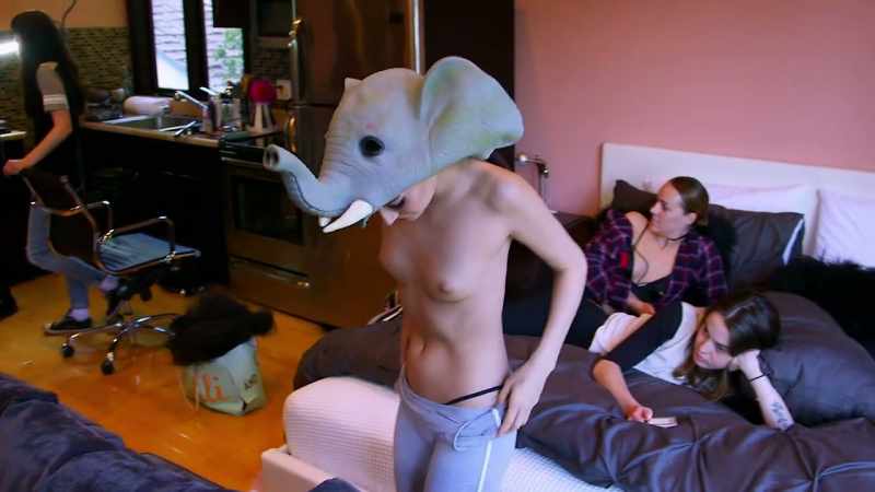 It has elephant characters and different types of circus feelings