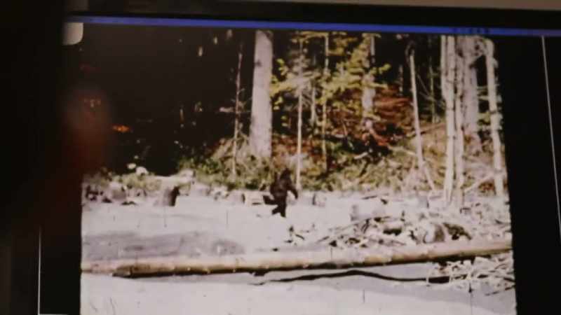 It was filmed right near here at Bluff Creek