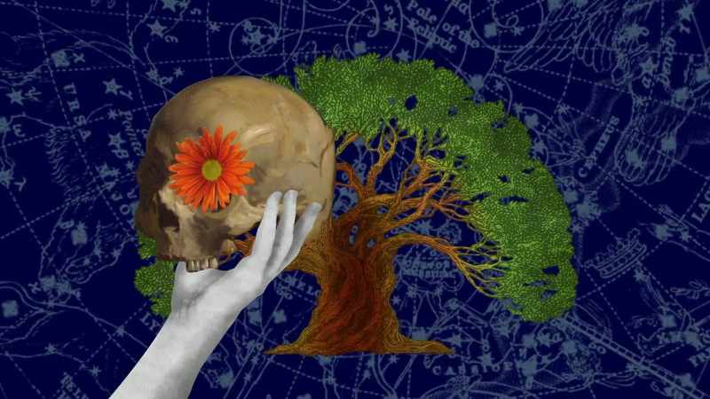 It forces how humanity fits into the whole of creation