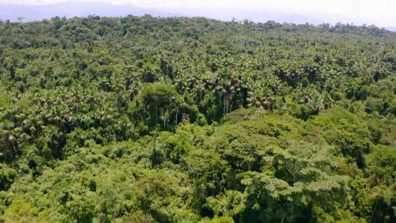 IT HAS ALWAYS BEEN SEEN AS A PRISTINE WILDERNESS