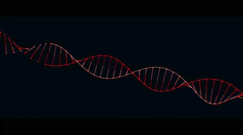 It hijacks the cell and use the cell