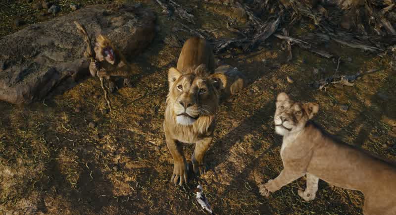 It is your time, Mufasa