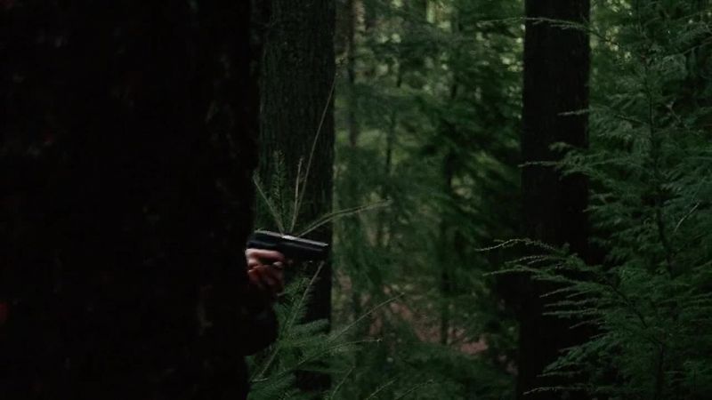 It just disappeared. - Mulder, it's not on the screen
