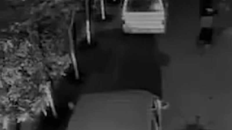 IT LEADS ME TO BELIEVE THAT THIS VIDEO IS NOT AUTHENTIC