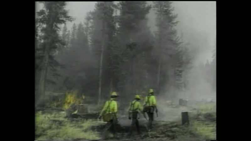 It led to America's largest firefighting effort