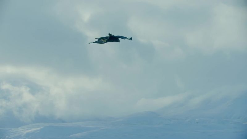 It looks effortless, and it needs to be