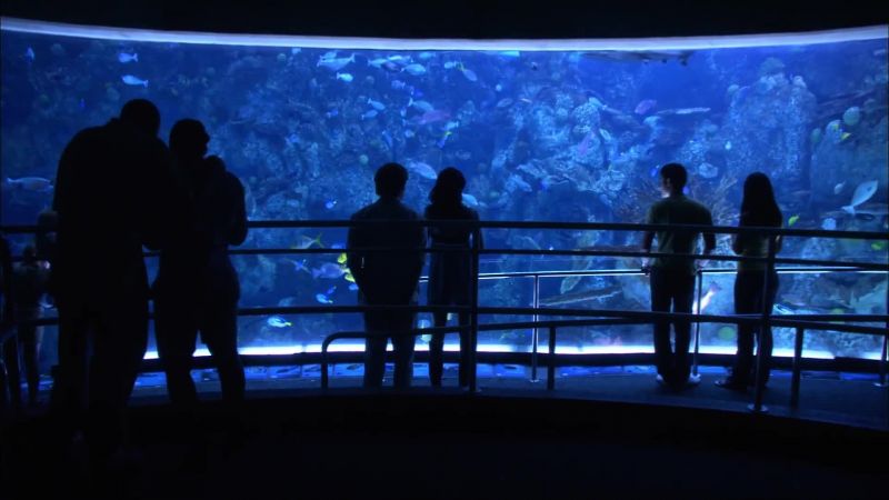 It looks peaceful in there