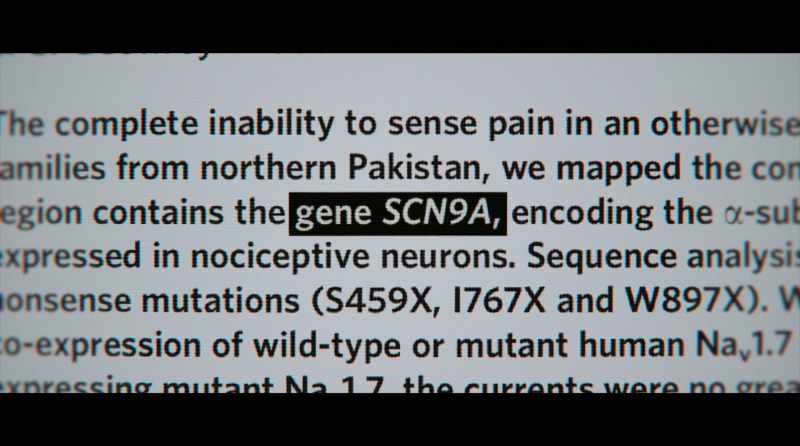 It makes a protein that transmits the pain signal