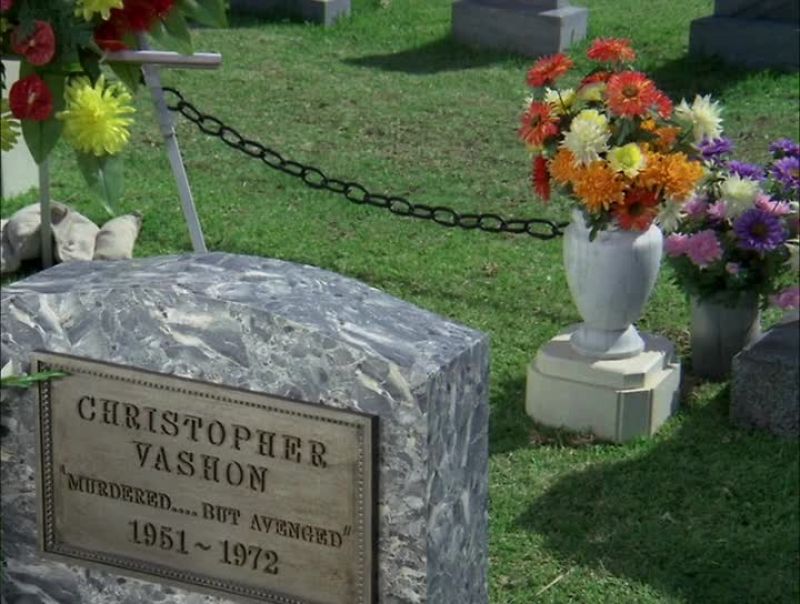 IT MATCHES -- CHAIN, THAT VASE OF FLOWERS