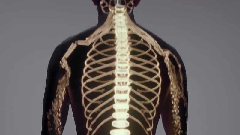 It means that neural connections to the brain have been compromised