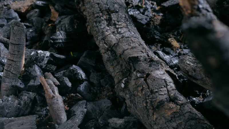 It might be hard to understand what makes carbon so great for life
