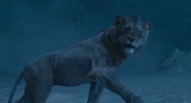 It was Mufasa