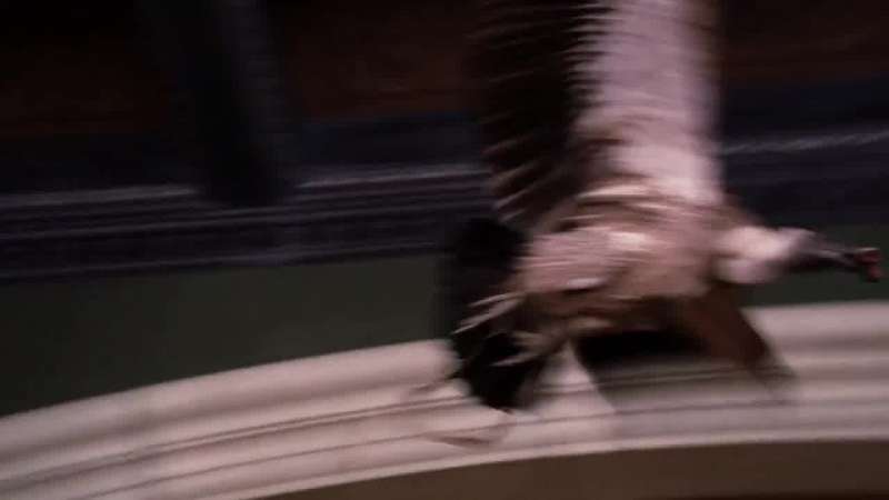 It is my wife's favorite finger Please get it back now