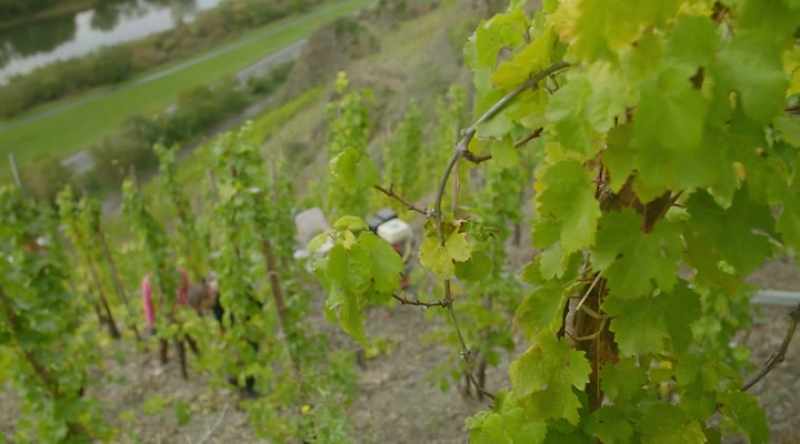 It was not easy travelling the River Moselle