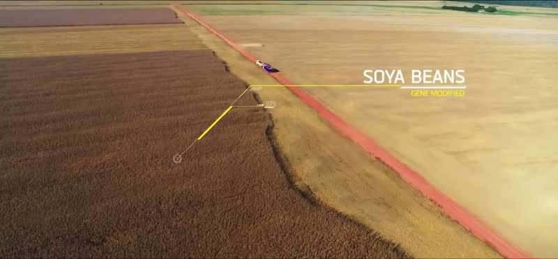 It is often assumed that much of the soy