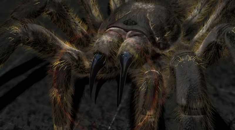 It releases a potent tissue-dissolving venom