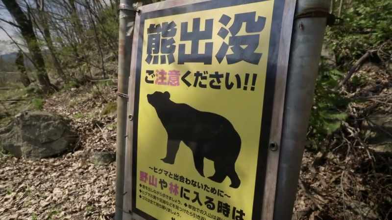 It says, 