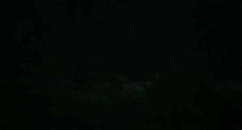 It was scary. It was staring right at me