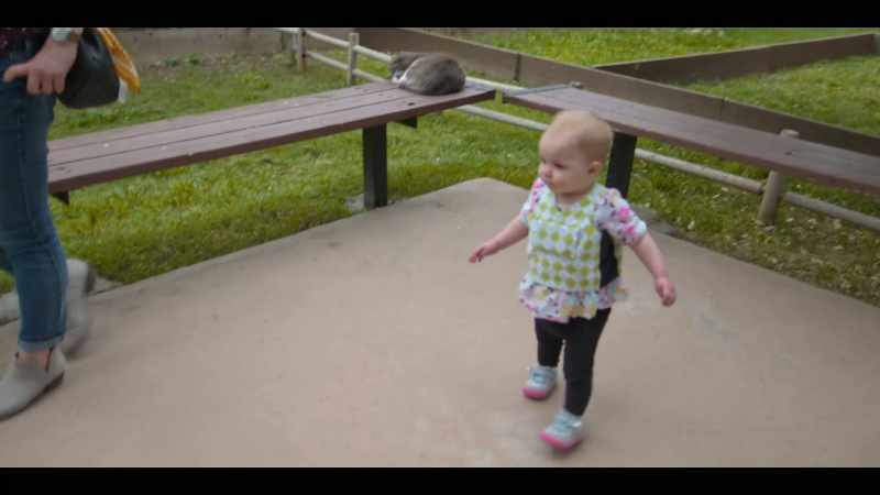It seemed as if, once they made that transition from crawling to walking
