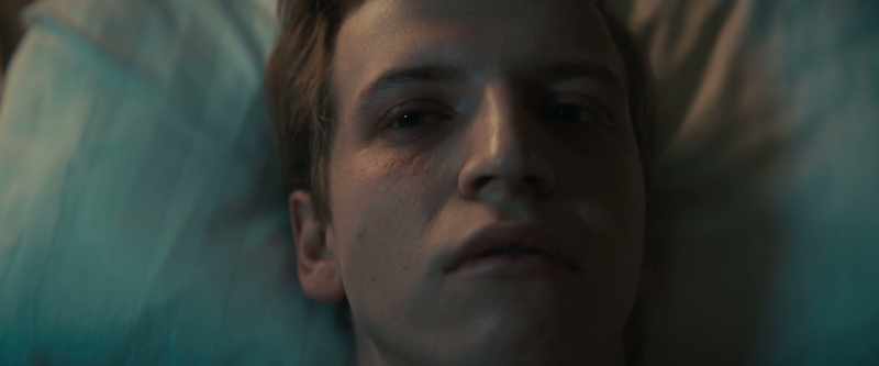 It seems like he was acting alone