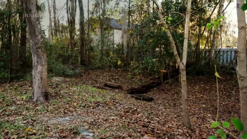 It is set in the woods and it has multiple buildings