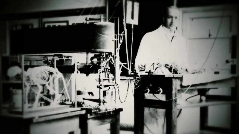 It was Sherrington who introduced Penfield to neurology