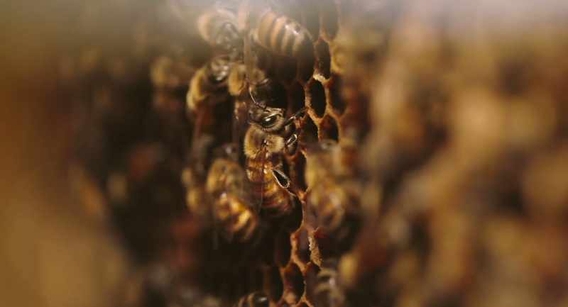 It was shocking how much pesticide