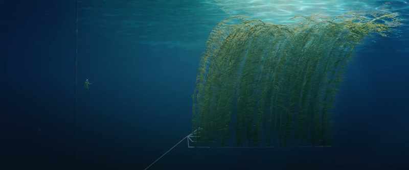 It sits just below the surface