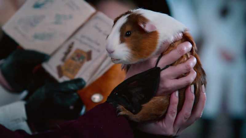 It is so lovely to meet you. Squeak squeak