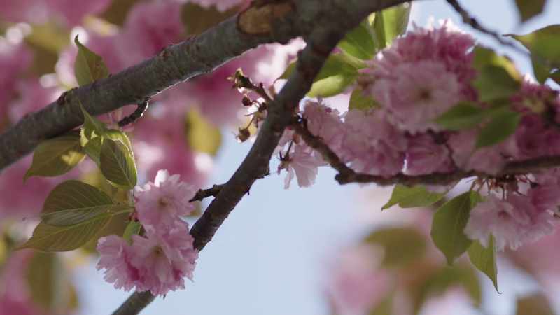 It was springtime
