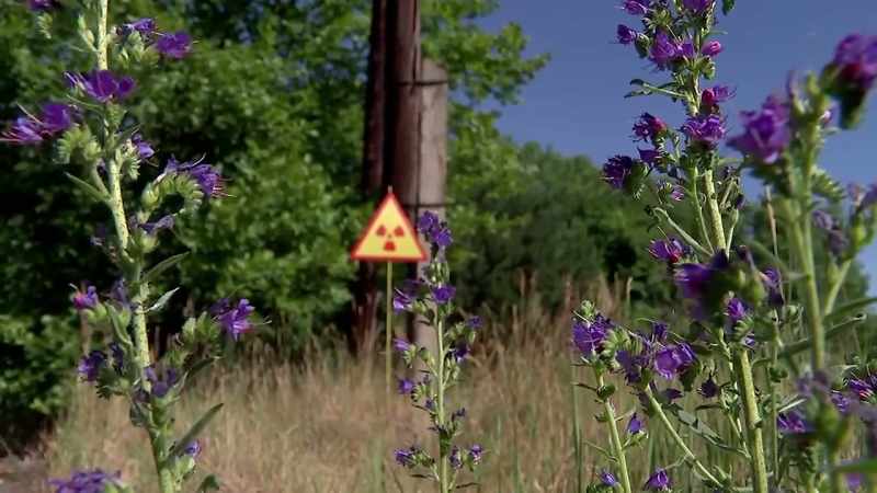 It is still a contaminated deserted wasteland