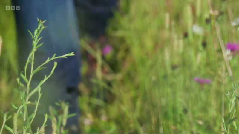 It stores carbon, and it helps to prevent flooding and drought