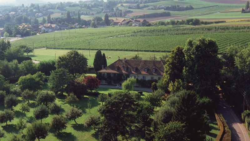 It was such a charming, beautiful house