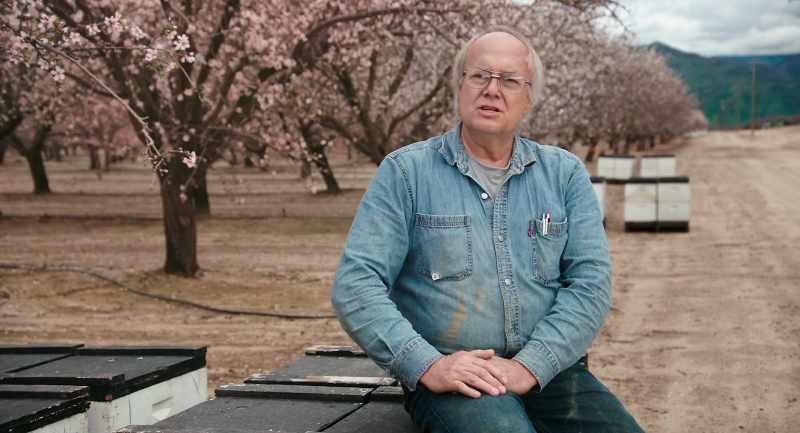 It takes almost the entire national bee supply