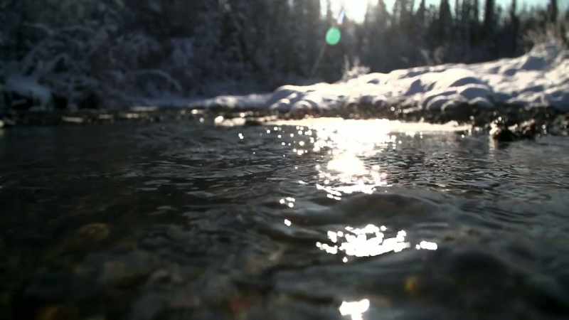 It told the story about Christopher McCandless