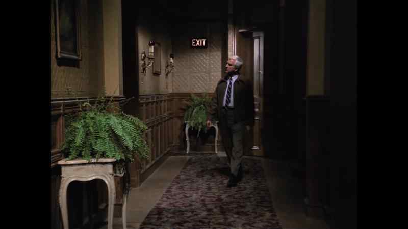 It took me two weeks to find Stella's apartment