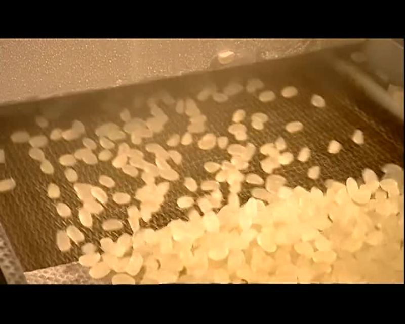 IT TRANSPORTS THEM TO A STEAM BELT