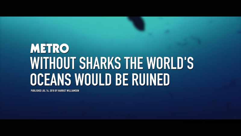 It turned out sharks were just as important