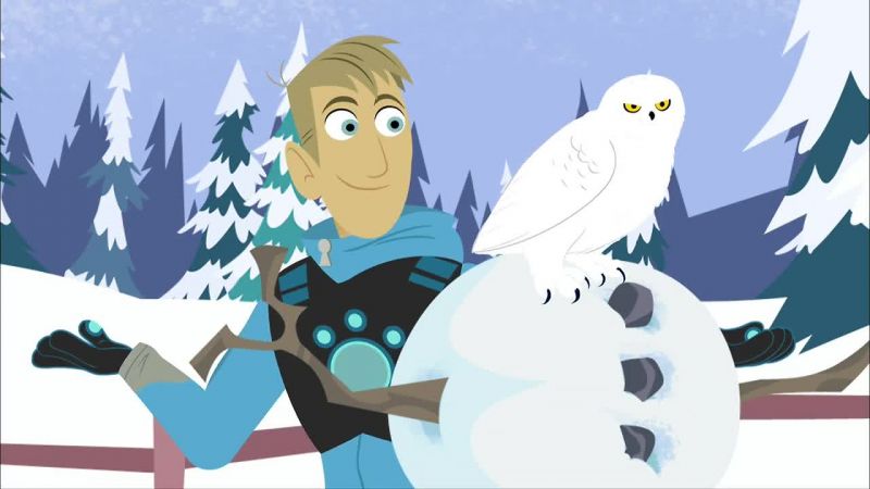 It is unbelievable how many snowy owls are down south