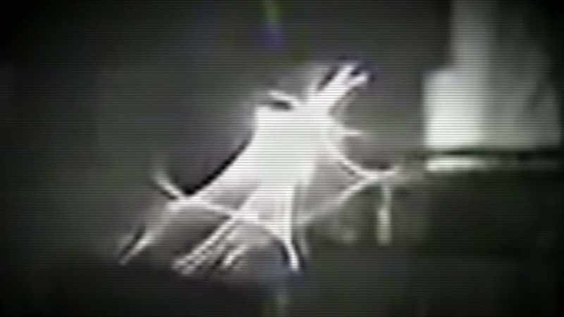IT WAS EXCITING TO SEE THIS VIDEO
