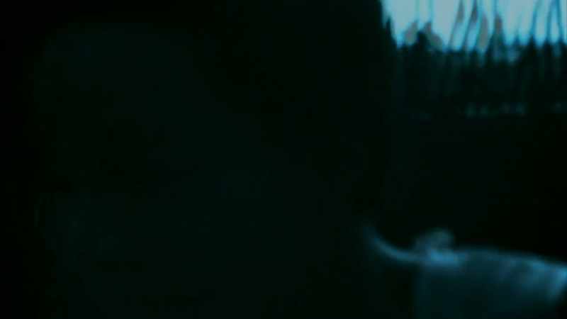 IT WAS TOO DARK TO SEE THE CREATURE CLEARLY