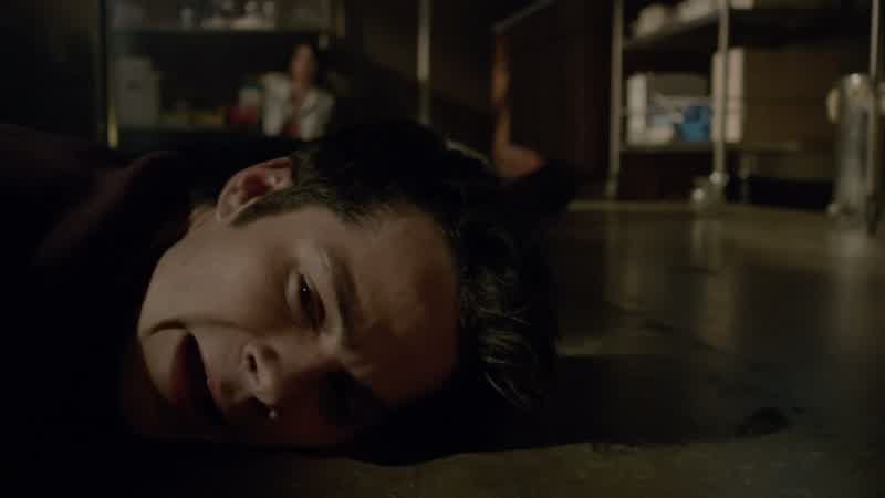 It wasn't a werewolf