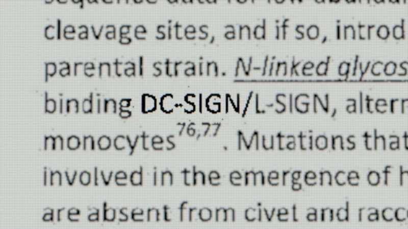 It wasn't until the diffuse proposal mentioned