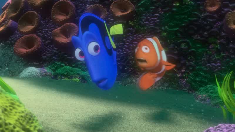 A boat Hey I've seen a boatYou have It passed by not too long agoA white one Hi I'm DoryWhere Which wayOh oh oh It went this wayIt went this way Follow meThank you Thank you thank you so muchNo